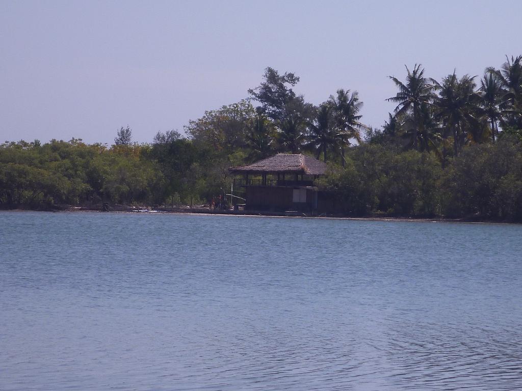 فندق Pemenangفي  Rose Bungalow المظهر الخارجي الصورة