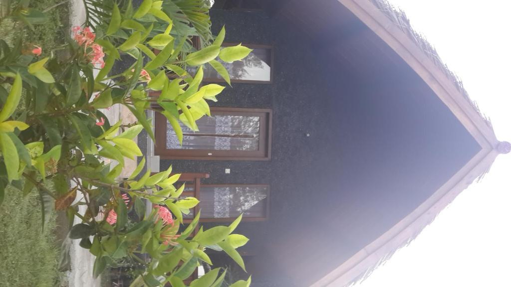 فندق Pemenangفي  Rose Bungalow المظهر الخارجي الصورة